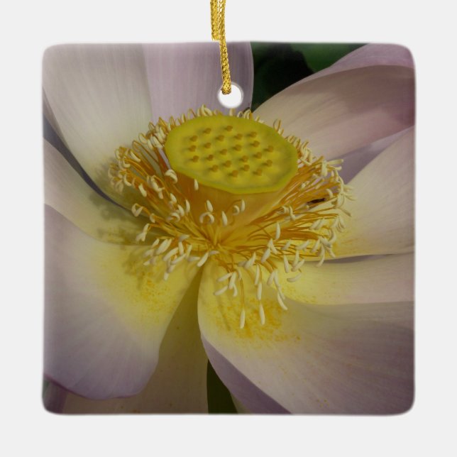 Pink Lotus Blume I Summer Floral Keramikornament (Vorderseite)