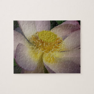 Pink Lotus Blume I Summer Floral Puzzle