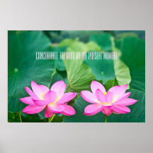 Pink Lotus Couple Inspiration Pair Pond Green Leaf