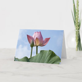 Pink Lotus Danke Karte