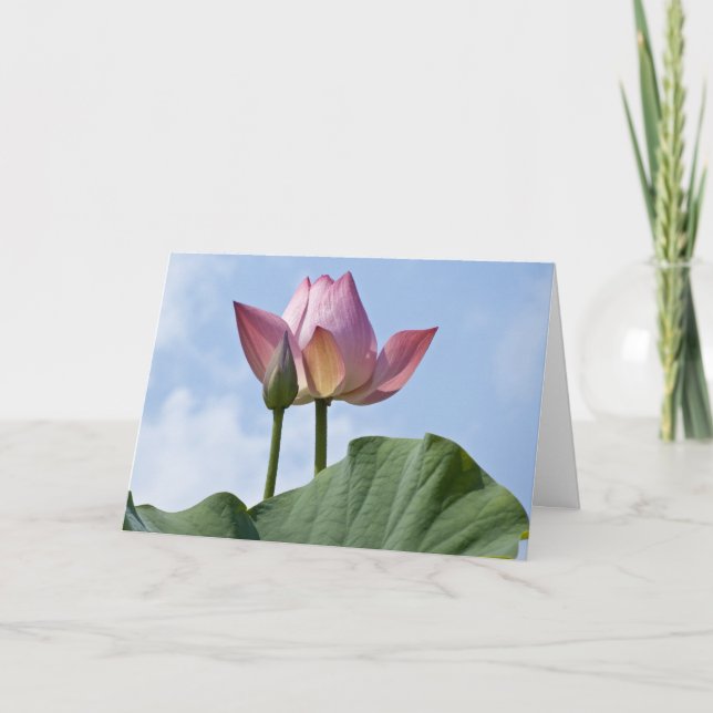 Pink Lotus Danke Karte (Vorderseite)