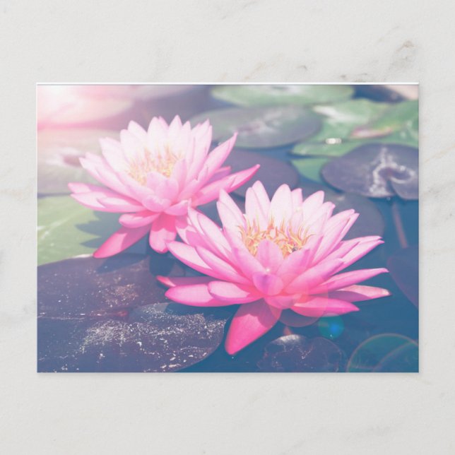 PINK LOTUS POSTCARD POSTKARTE (Vorderseite)