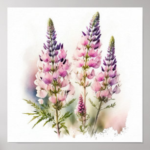 Pink Lupine Blume Art Print Poster