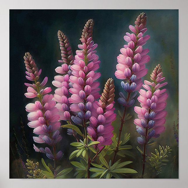 Pink Lupine Blume Art Print Poster (Vorne)