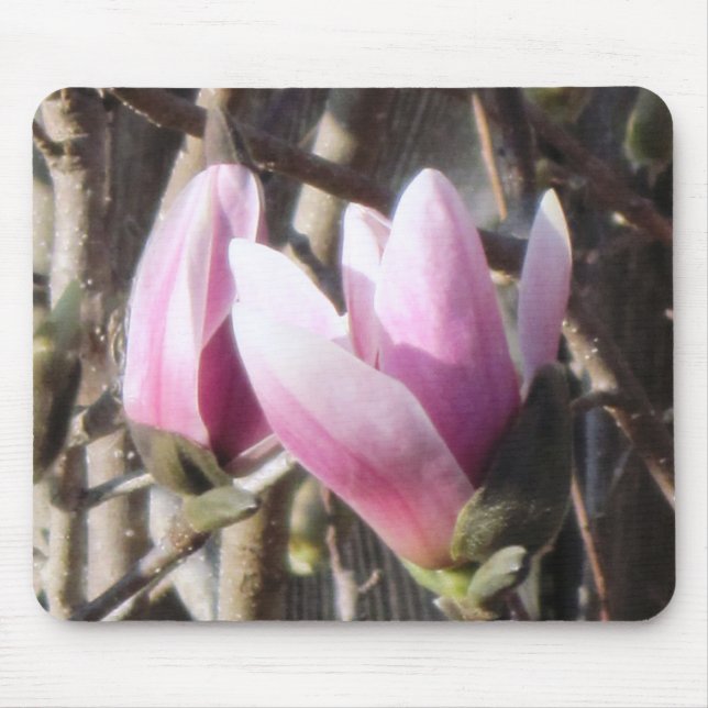 Pink Magnolia Blossom Mousepad (Vorne)