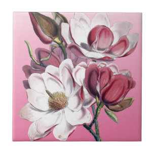 Pink Magnolia Fliese