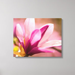 Pink Magnolia Leinwanddruck
