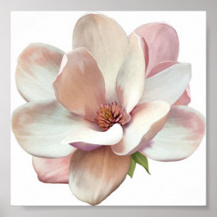 Pink Magnolia-Plakat Poster