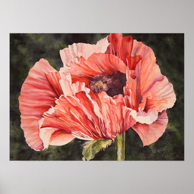 Pink Mais Poppy Botanisches Poster Canvas Print (Vorne)