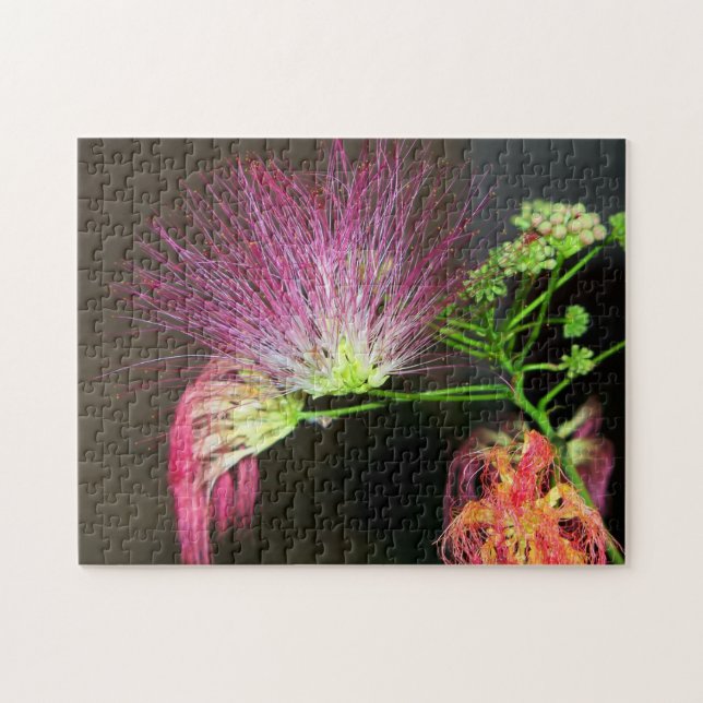 Pink Mimosa Blume Bloom Puzzle (Horizontal)