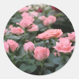 Pink Mini Rose Digitale Blume Malerei Runder Aufkleber
