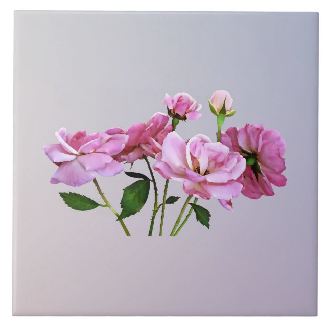 Pink Miniatur-Rose Fliese (Vorderseite)