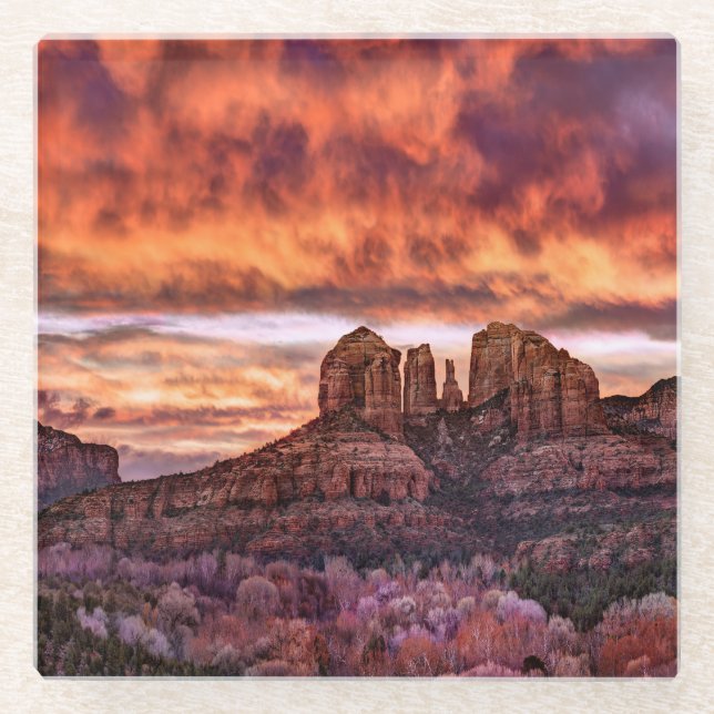 Pink Morning Glory Glasuntersetzer (Vorderseite)