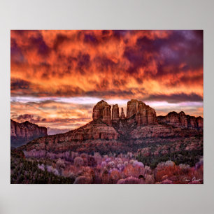 Pink Morning Glory Poster