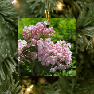 Pink Mountain Laurel Blume Keramikornament