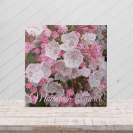 Pink Mountain Laurel Keramik Tile Fliese