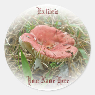 Pink Mushroom Ex libris Aufkleber