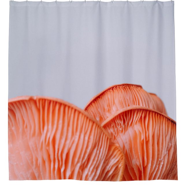 PINK MUSHROOMS DUSCHVORHANG (Vorderseite)