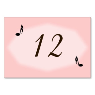 Pink Music Theme Wedding Tischnummer Placecards