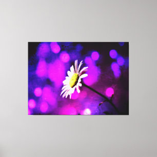 Pink N Amethyst Daisy Wrapped Canvas Leinwanddruck