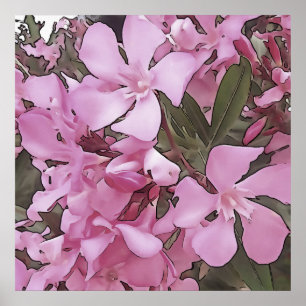 Pink Oleander Rose Laurel Schwarze Kontur Kunst Poster