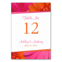Pink Orange Gerbera Daisy Blume Wedding