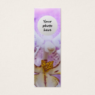 Pink Orchid