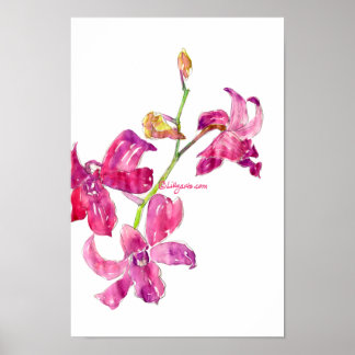 Pink Orchid Babys Blumenkizze Plakat drucken