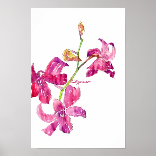 Pink Orchid Babys Blumenkizze Plakat drucken (Vorne)