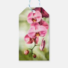 Pink Orchid Geschenkanhänger