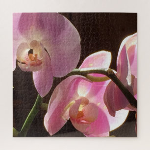 Pink Orchid Jigsaw Puzzle