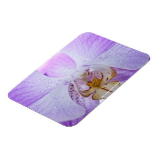 Pink Orchid Magnet