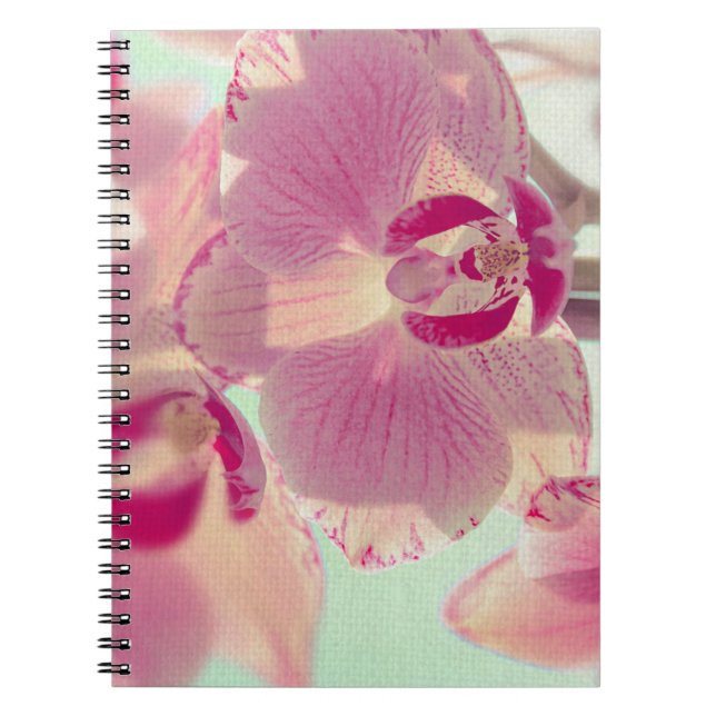Pink Orchid Notizblock (Vorderseite)