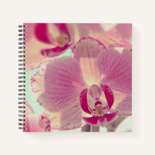 Pink Orchid Notizbuch