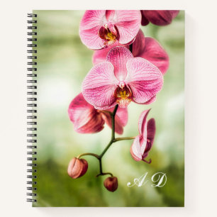 Pink Orchid Notizbuch