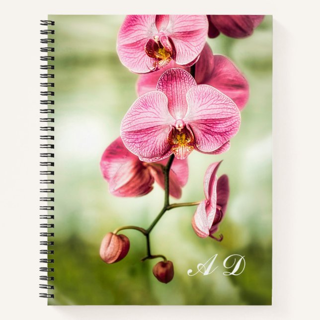 Pink Orchid Notizbuch (Vorderseite)