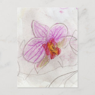 Pink Orchid Postkarte