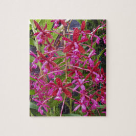 Pink Orchid Puzzle
