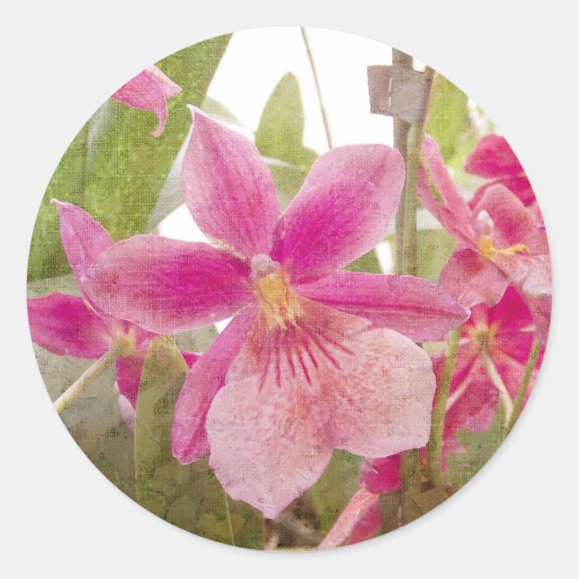Pink Orchid Runder Aufkleber (Vorderseite)