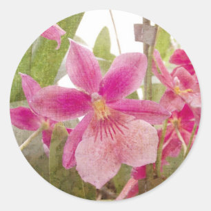Pink Orchid Runder Aufkleber