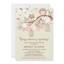 Pink Owls und Birdcages Kinderdusche Einladung