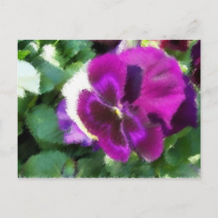 Pink Pansy Postcard Postkarte