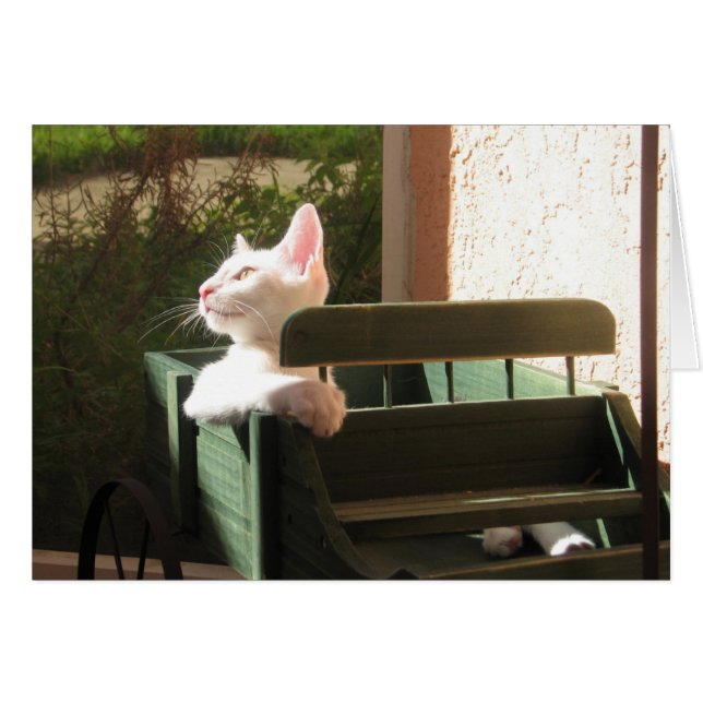 Pink Panther Rides (Vorderseite (Horizontal))