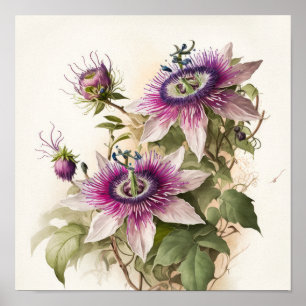 Pink Passion Blume Art Print Poster