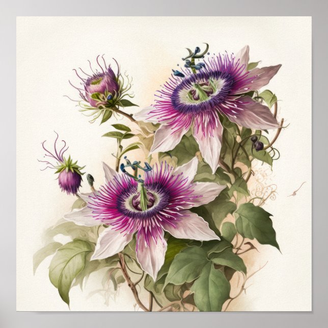 Pink Passion Blume Art Print Poster (Vorne)