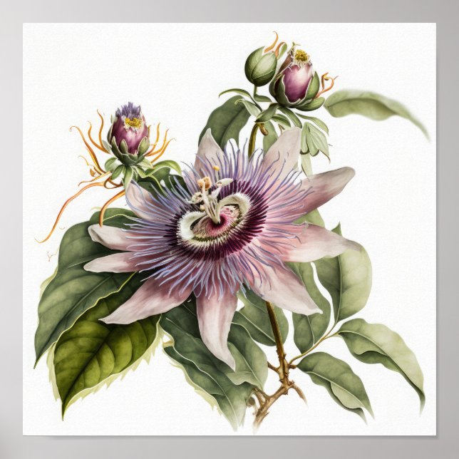 Pink Passion Blume Art Print Poster (Vorne)