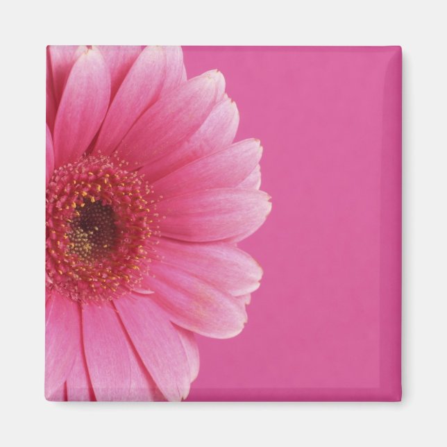 Pink Passion Magnet (Vorne)