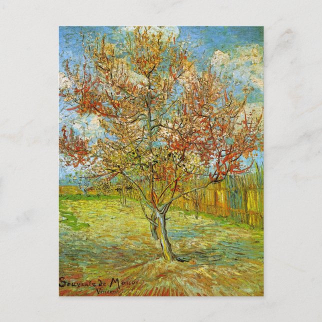 Pink Peach Tree in Blossom von Vincent van Gogh Postkarte (Vorderseite)