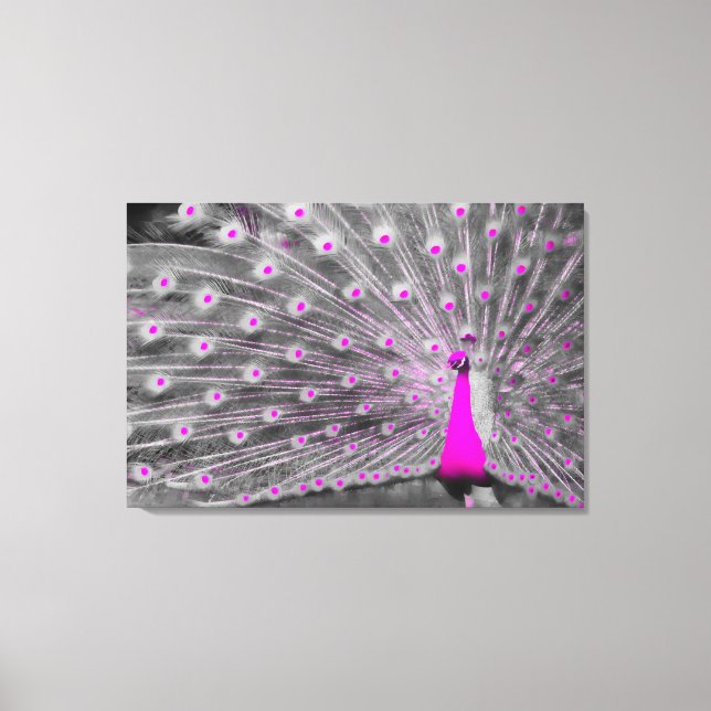 Pink Peacock Wrapped Canvas Leinwanddruck (Vorderseite)