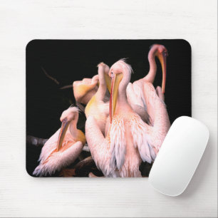 Pink Pelicans Mousepad